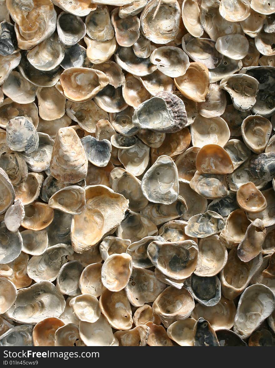 Shells