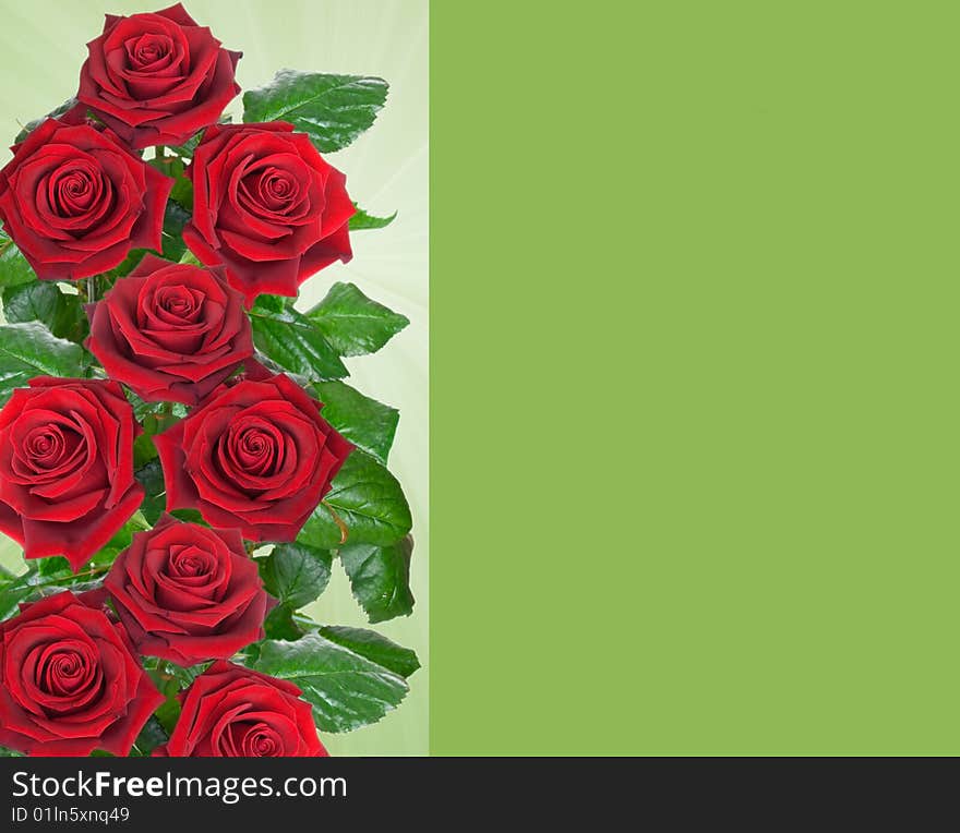 Card with red rose on green background. Card with red rose on green background.