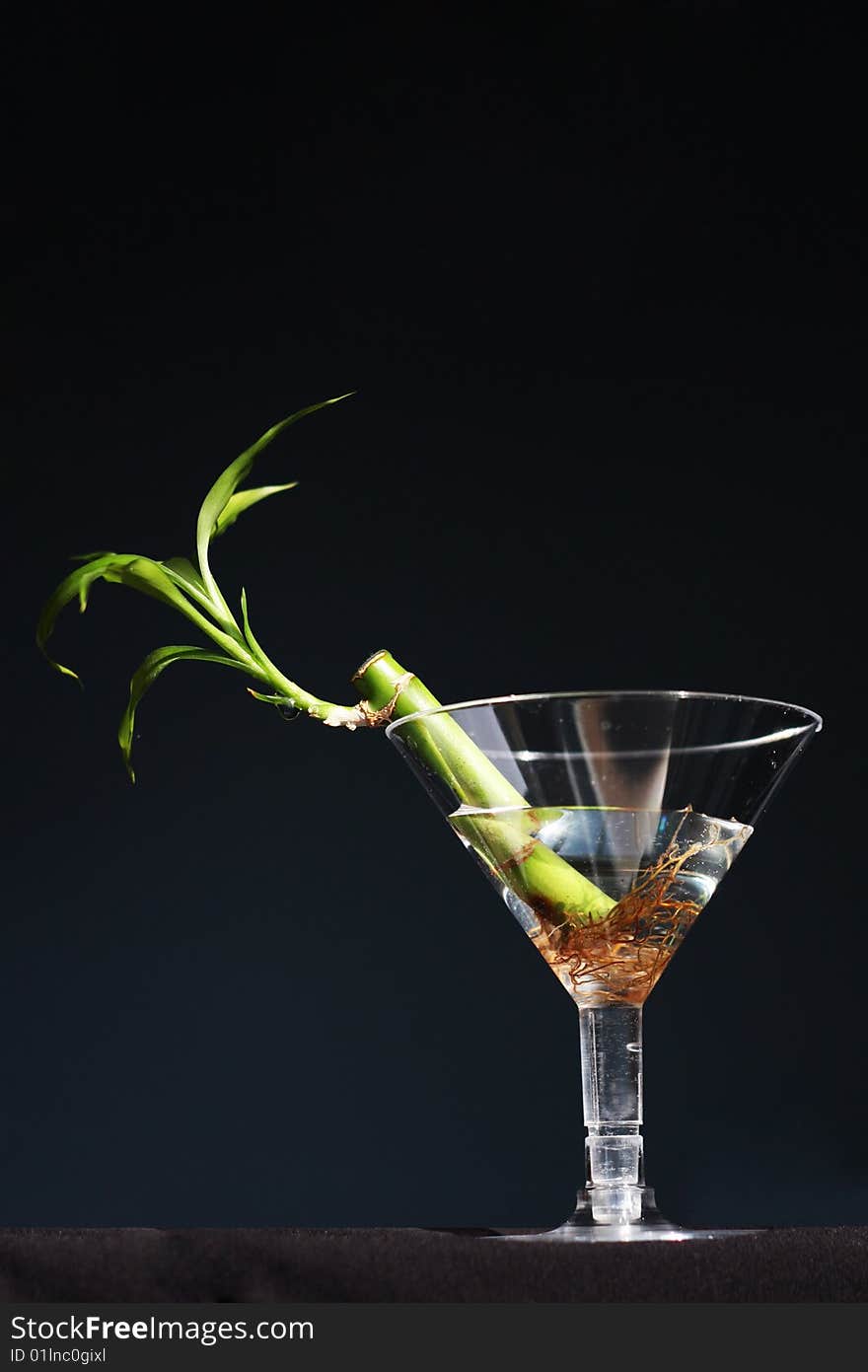 Spring Bamboo Drink