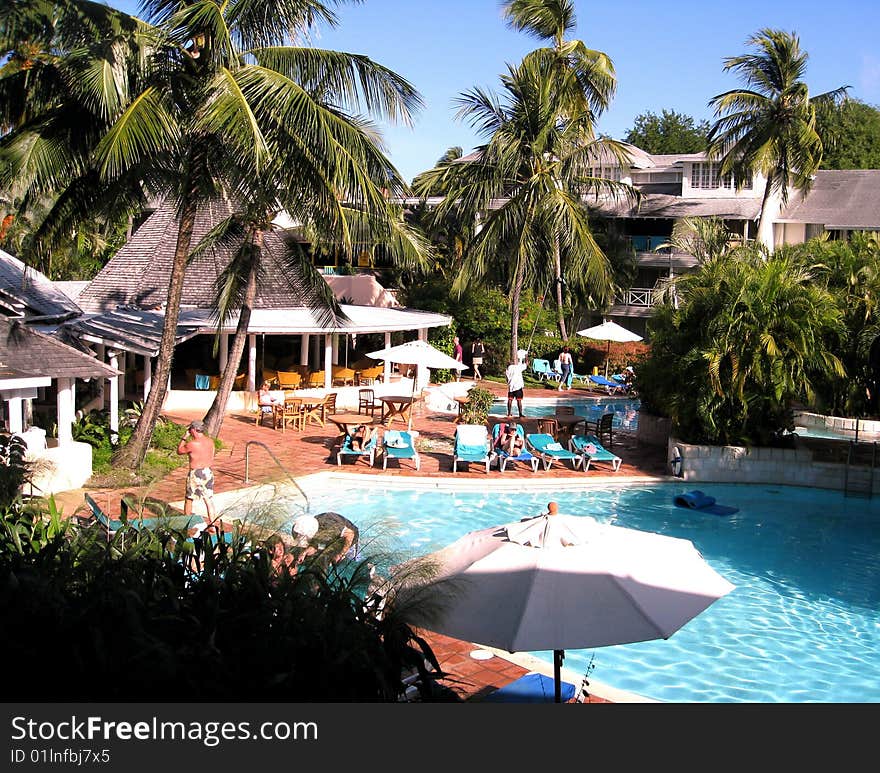 Palm trees and tropical plants set amongst a pool in the carribean. Palm trees and tropical plants set amongst a pool in the carribean.