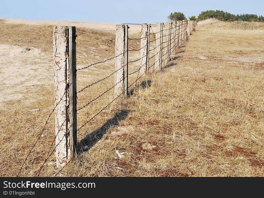 Barbed Wire