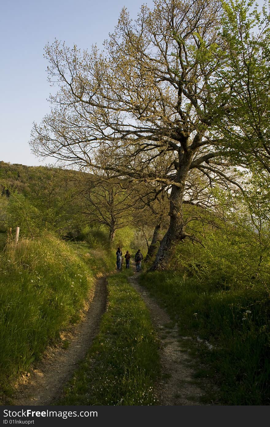 A group of people walking on mountains