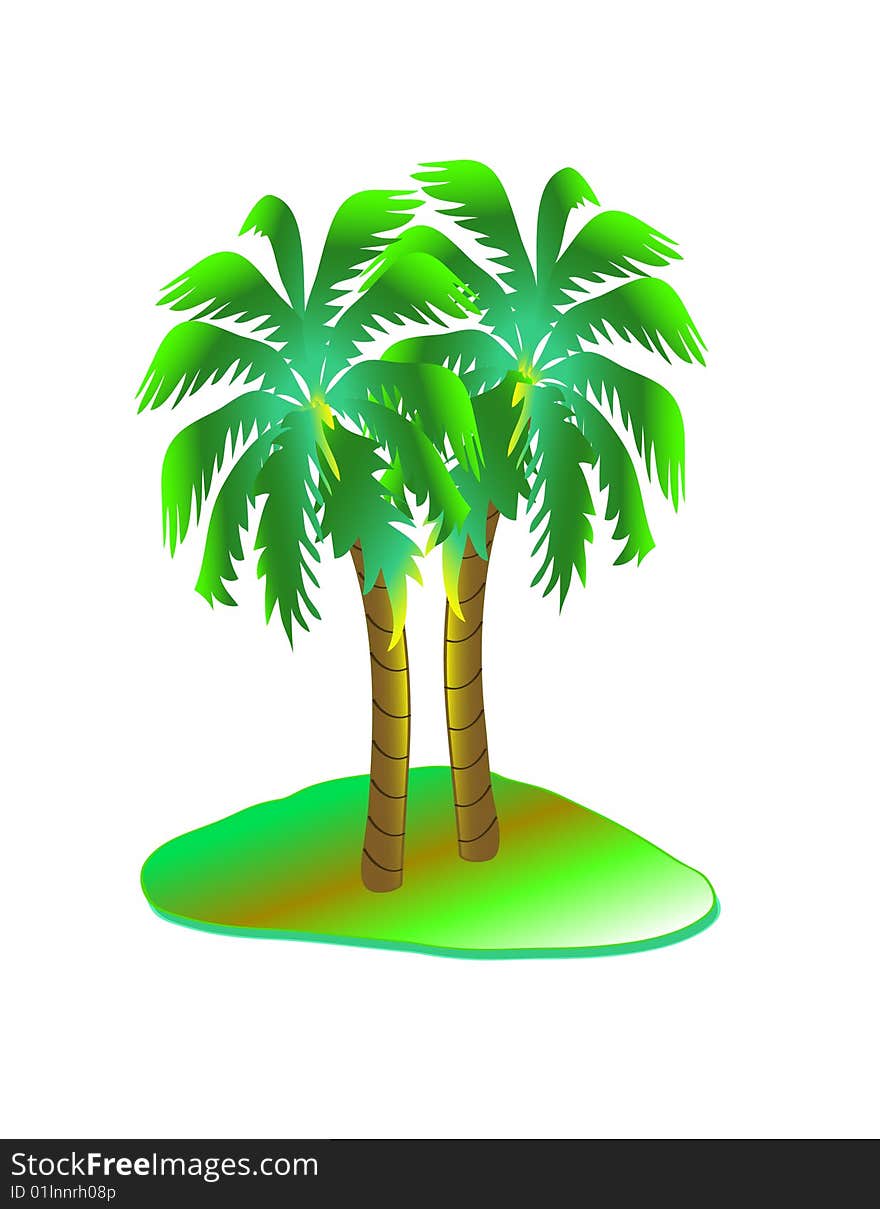 Palm tree