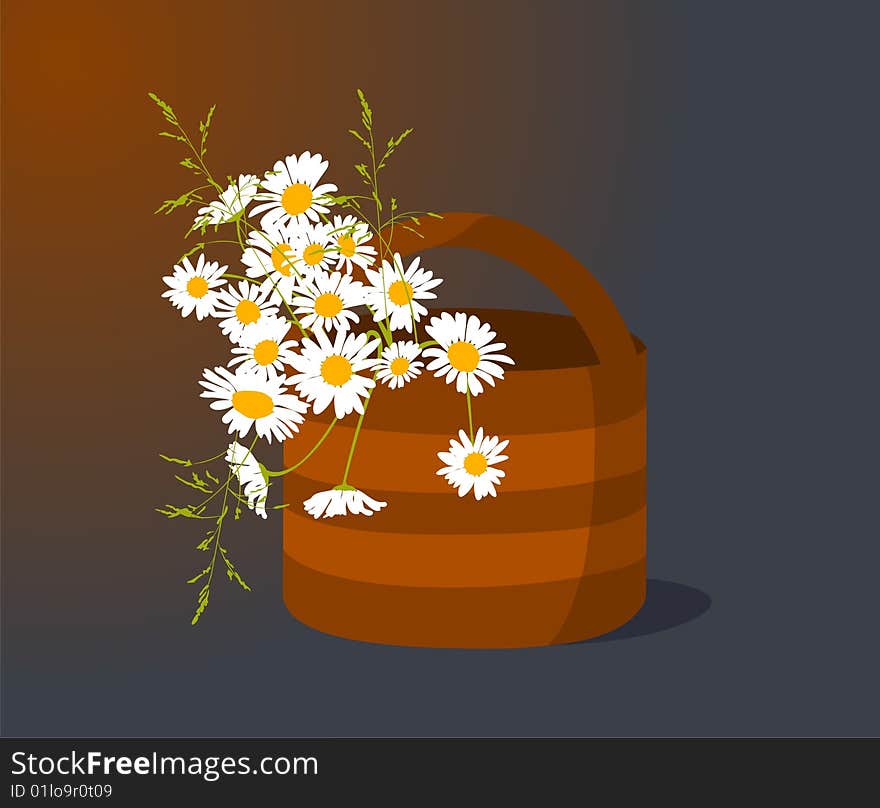 Basket with white meadow camomiles. Basket with white meadow camomiles