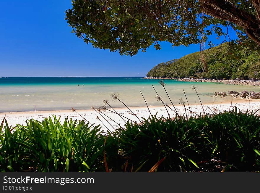 Golden beach Abel Tasman