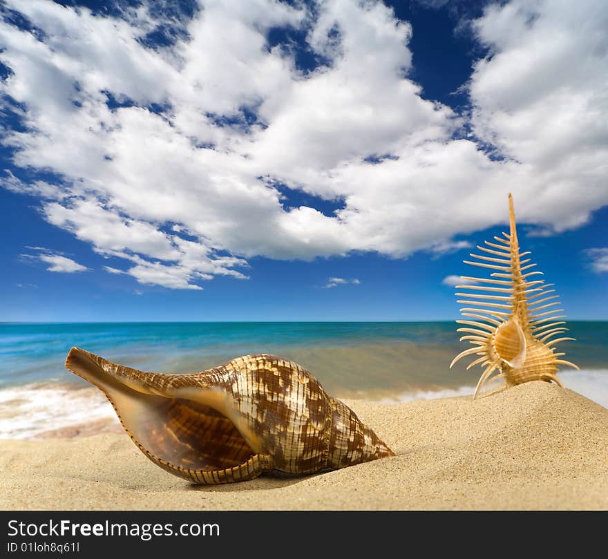 Landscape with seashell on sky