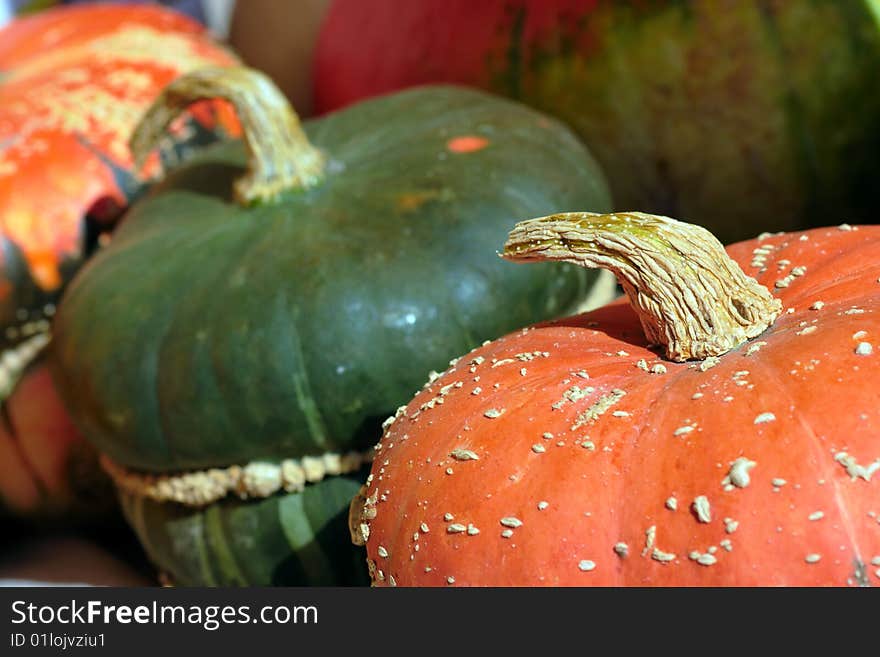 Pumpkin Close-up