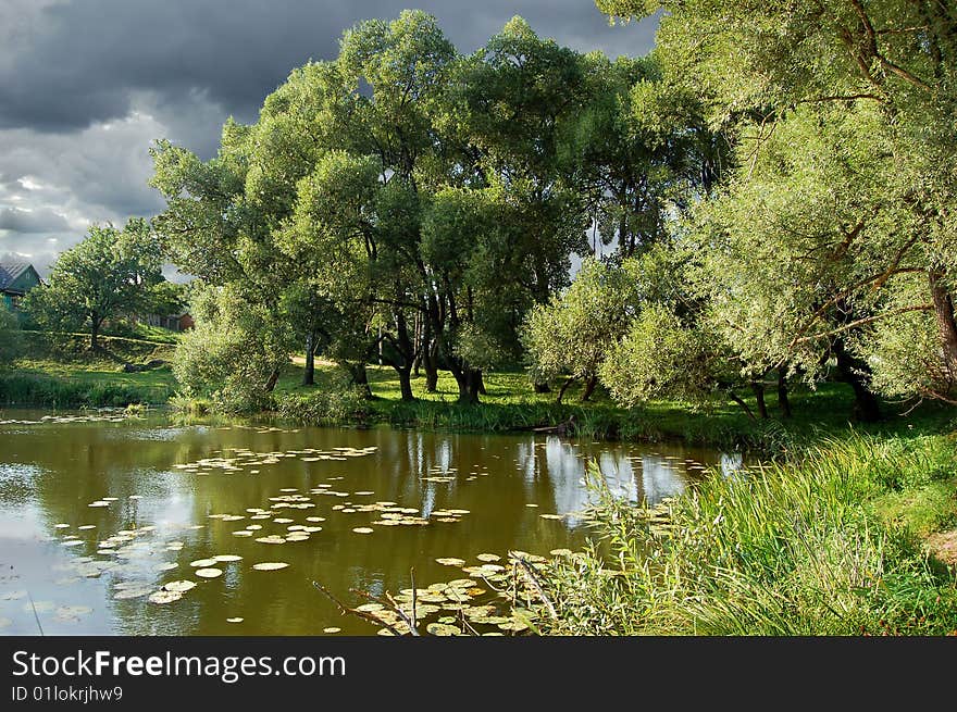 Reflection of the forest in lake