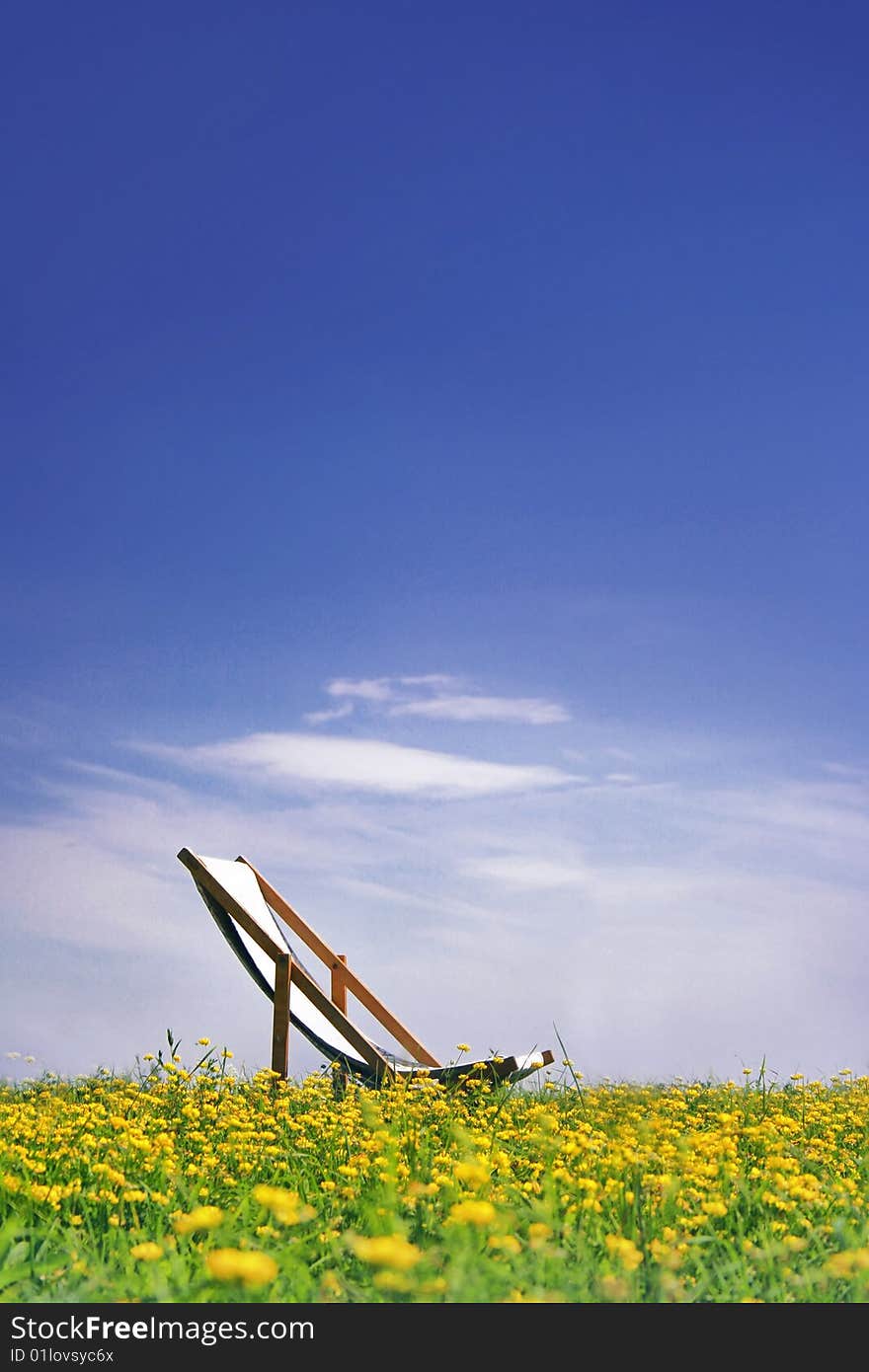 Lounge on a flower meadow