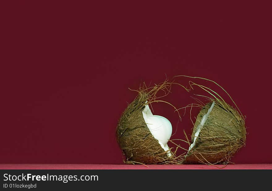 Coconut divided into two parts, one can see the kernel. Coconut divided into two parts, one can see the kernel