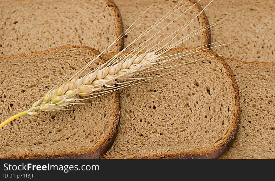 Wheat ear laying on slices of bread