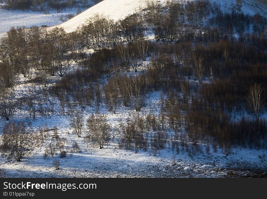 Snow meadow in the north of china