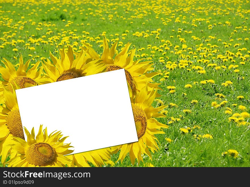 Card surrounded by sunflowers and dandelions. Add your own text. Card surrounded by sunflowers and dandelions. Add your own text.