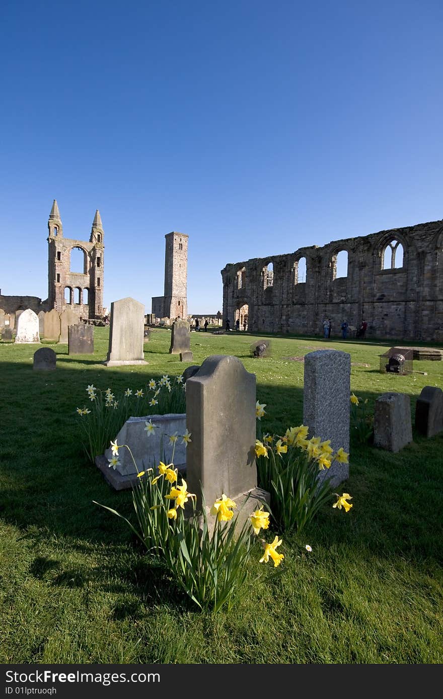Part of the cemetary and cathedral ruins in St Andrews, Scotland. Part of the cemetary and cathedral ruins in St Andrews, Scotland.