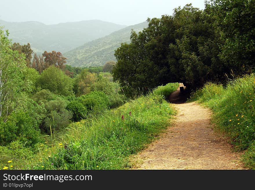 A road in the hills