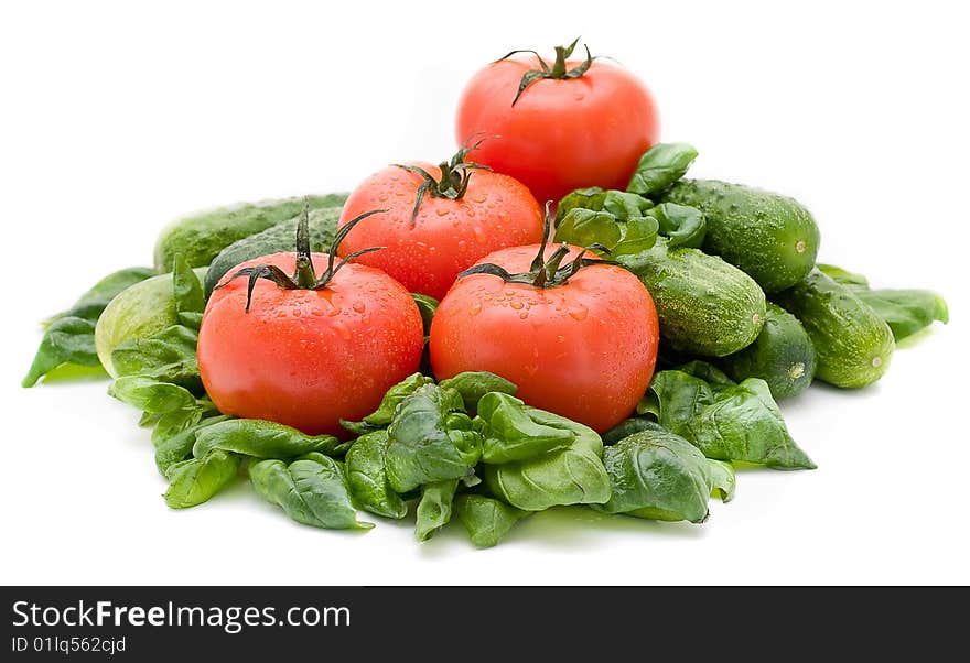 Vivid wet ripe tomatoes