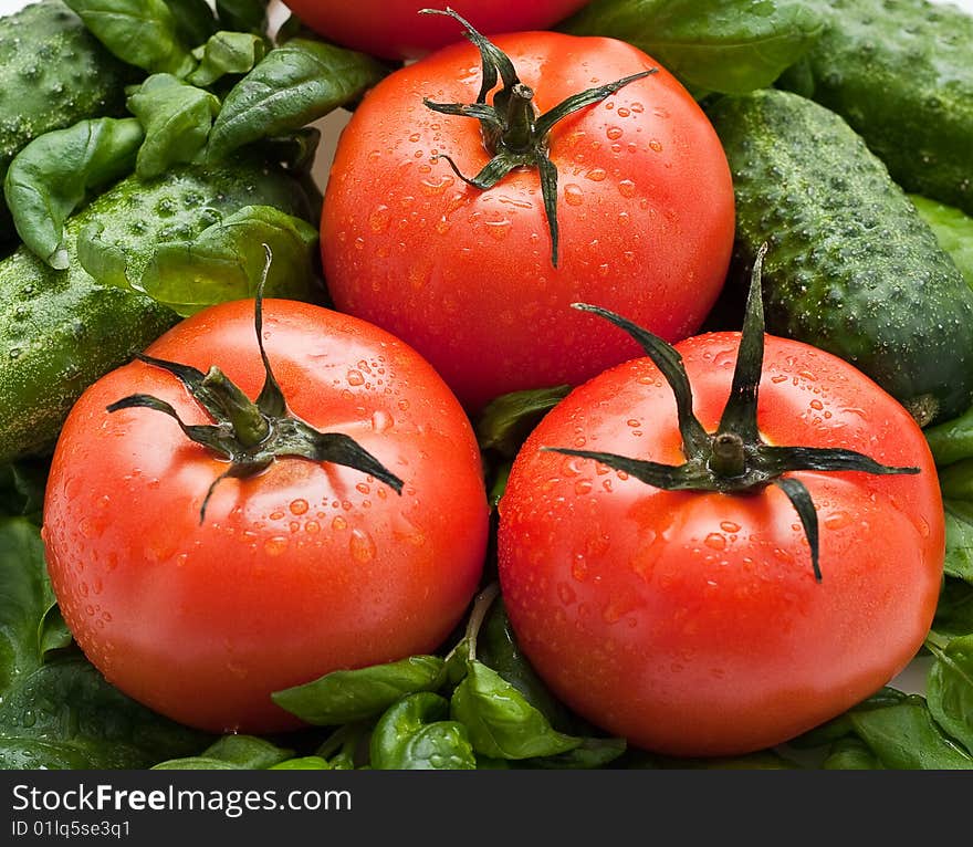 Vivid wet ripe tomatoes