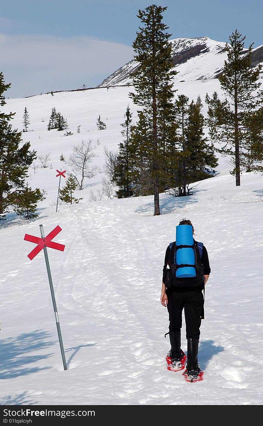 Person Walking In Snow With Trail Markers