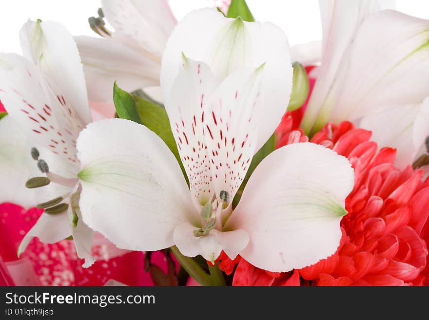 Close-up wedding bouquet with orchid and chrysanthemum, isolated on white