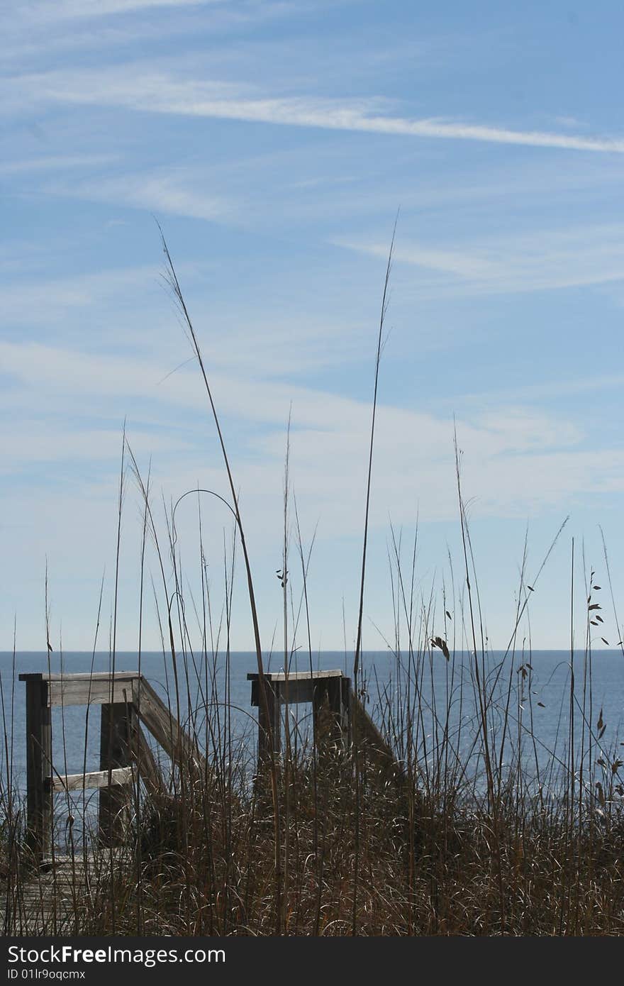 View from Dock Blue Sky and Wheat Grass. View from Dock Blue Sky and Wheat Grass