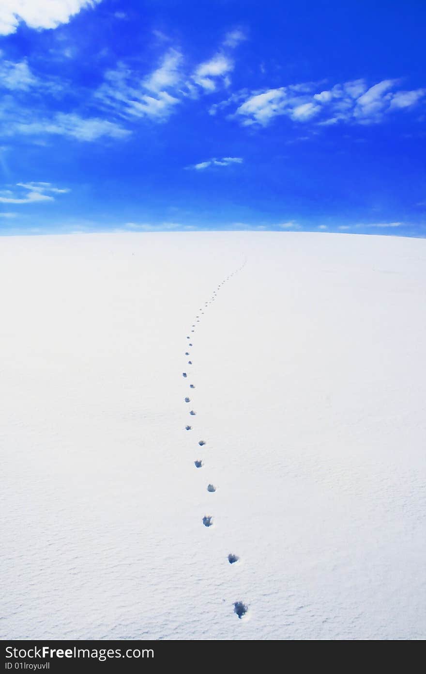 Trace  in the snow and blue sky. Trace  in the snow and blue sky.