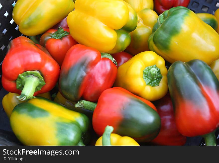 Fresh green, red and yellow peppers. Fresh green, red and yellow peppers