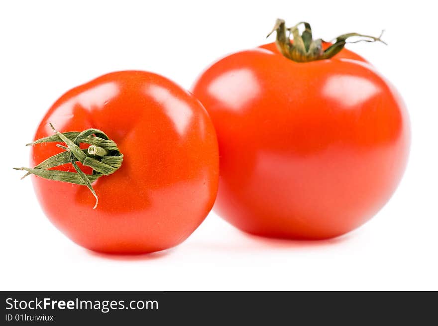 Tomatoes on the white background