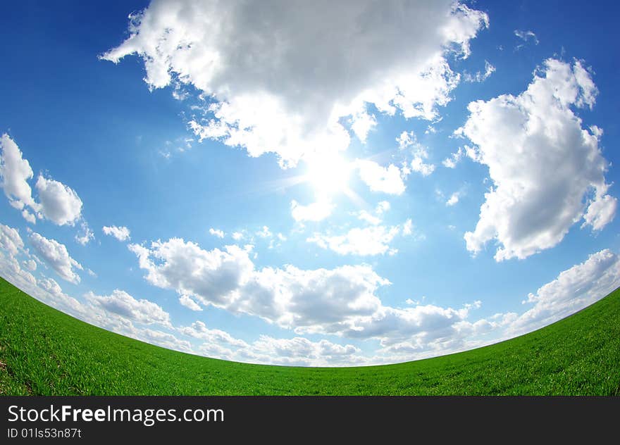 Field on a background of the blue sky