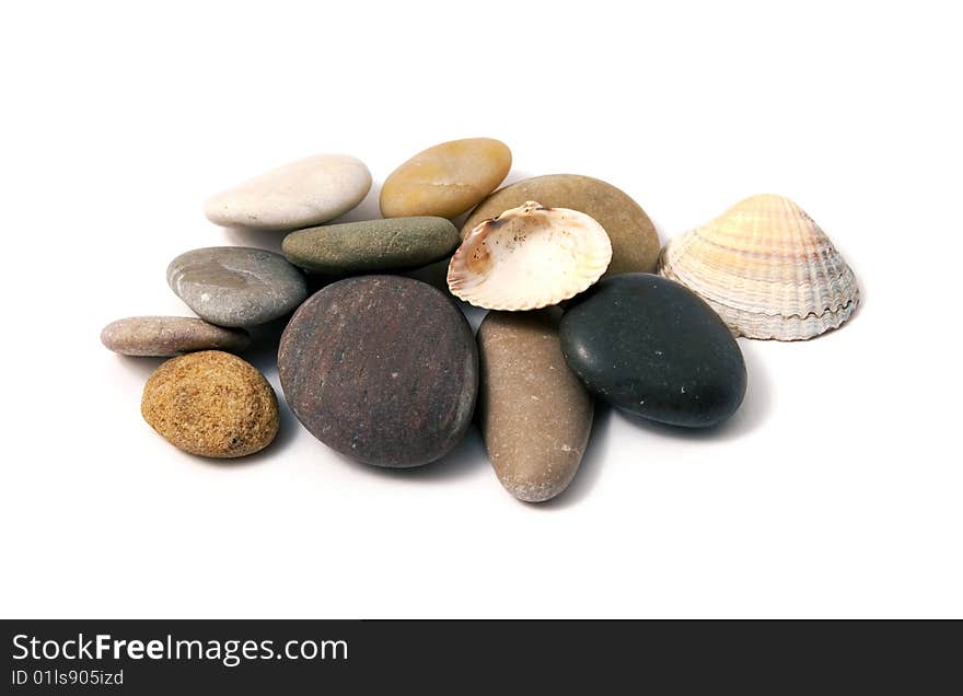 Stones and shells on white background