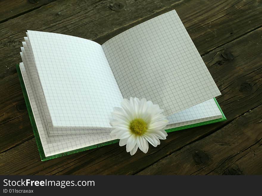 Notebook and chamomile on old wooden boards