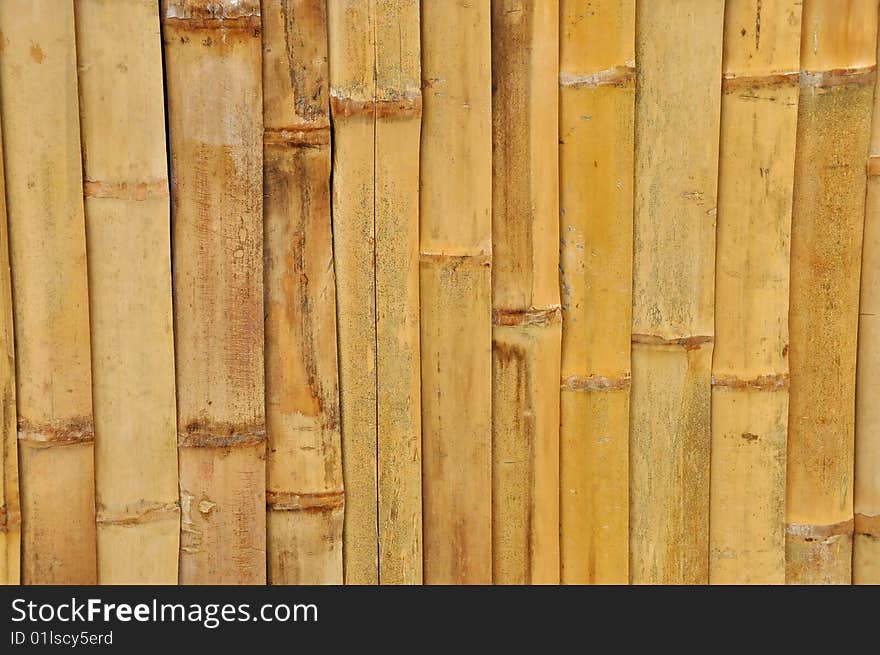 Bamboowall