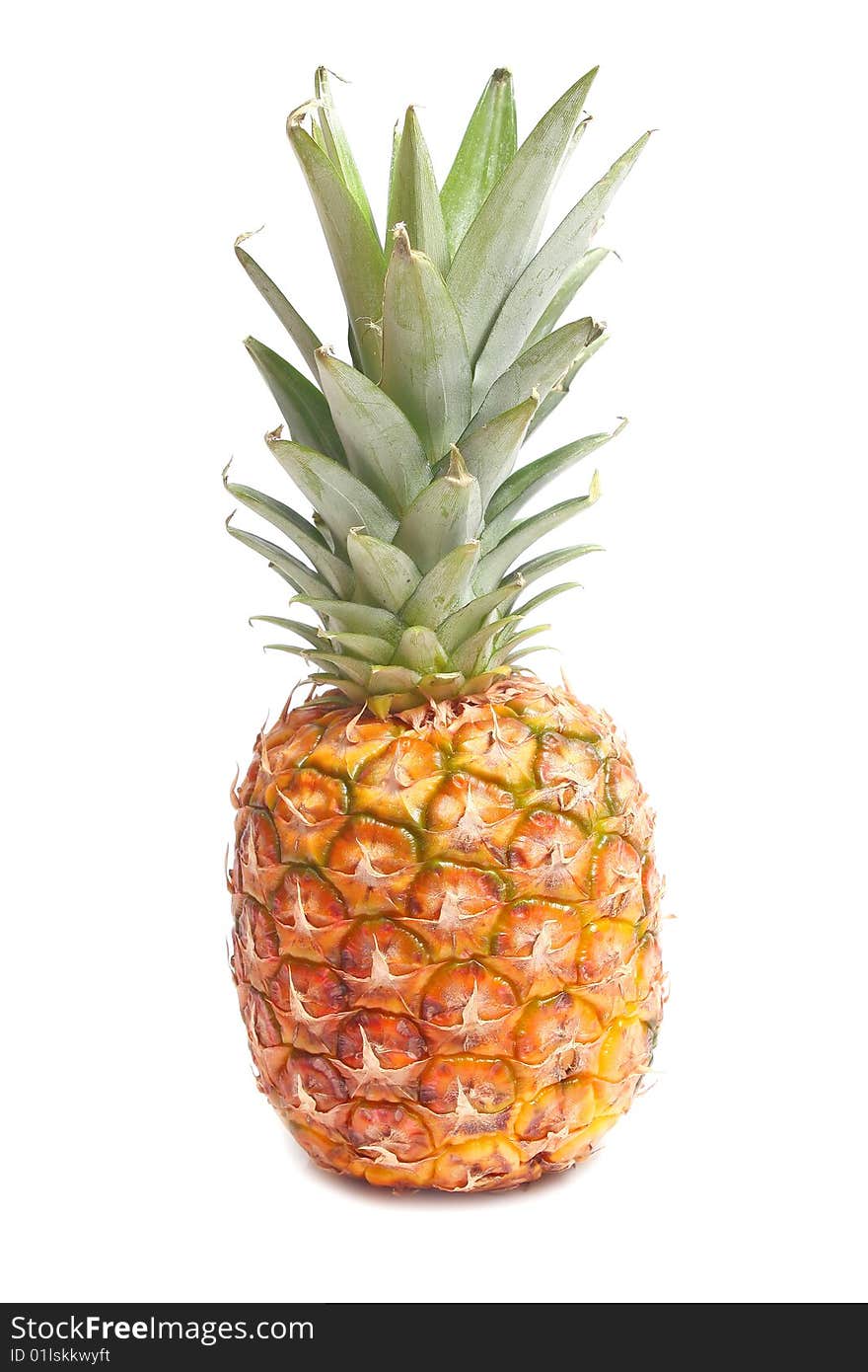 Pineapple