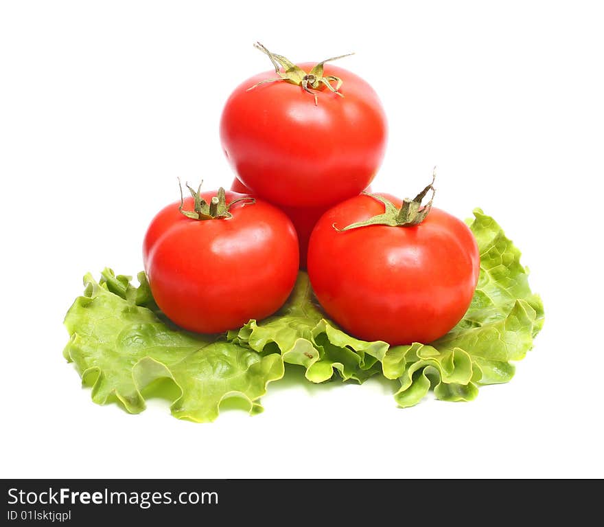 Red Tomatoes And Green Lettuce