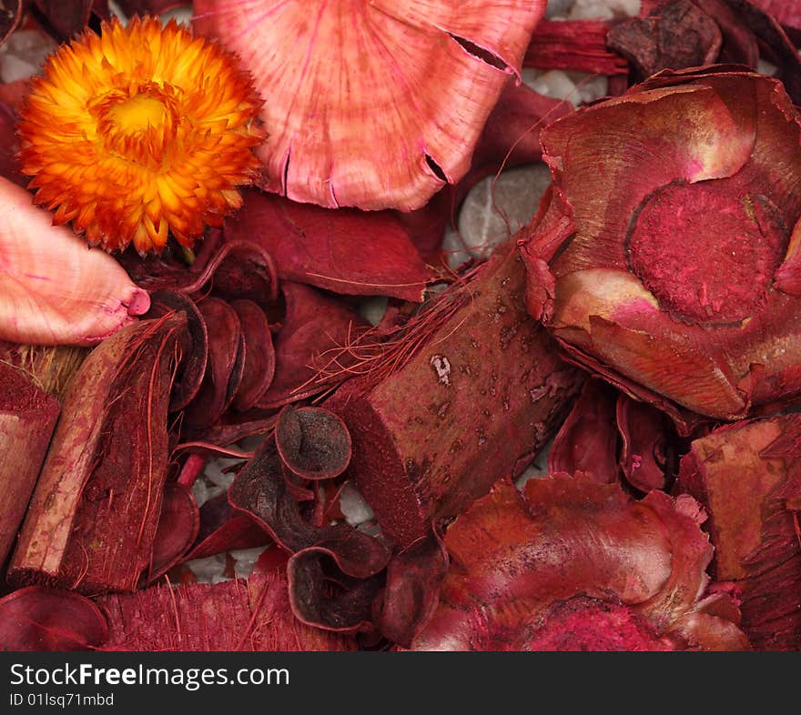 Dry flowers  and plants - macro shots. Dry flowers  and plants - macro shots