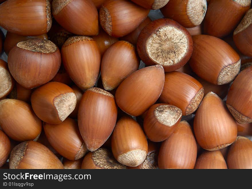 Fresh hazelnuts isolated in studio