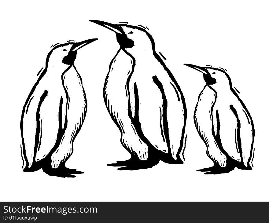 This picture shows a group of penguins