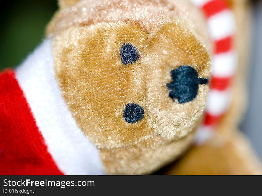 Teddy bear with red cap close up. Teddy bear with red cap close up