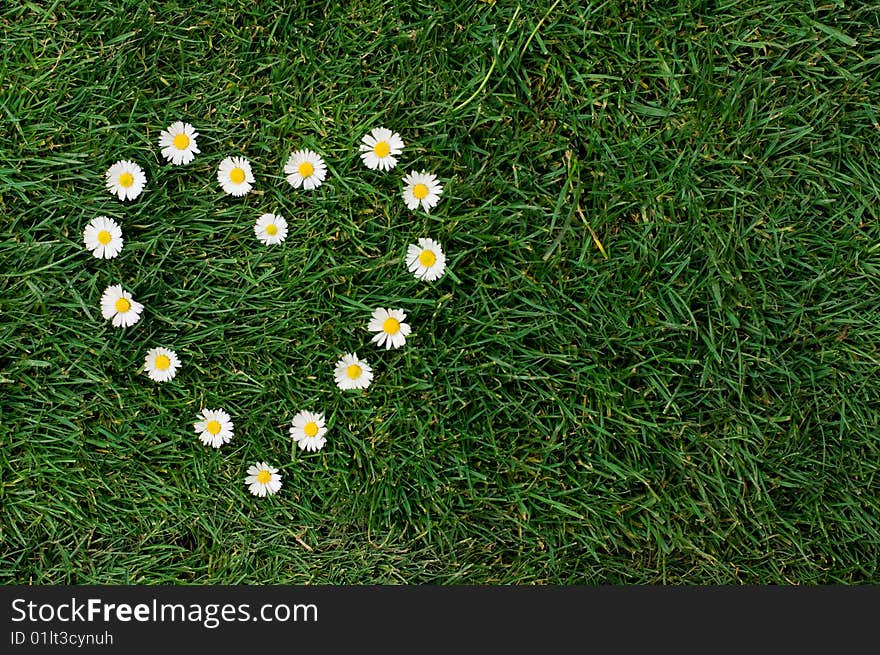 Heart shape of daisy in a meadow. Symbol of love for the nature and the environment. Heart shape of daisy in a meadow. Symbol of love for the nature and the environment.