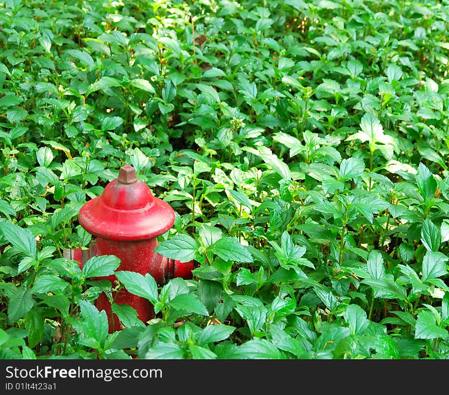 A red extinguisher stands in the grass