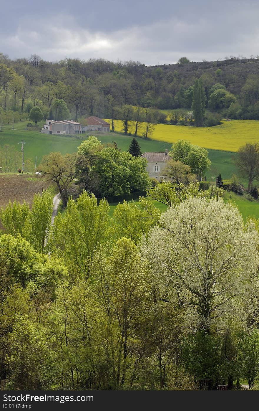 The spring in the south of France