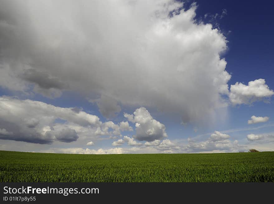 Clouds and field