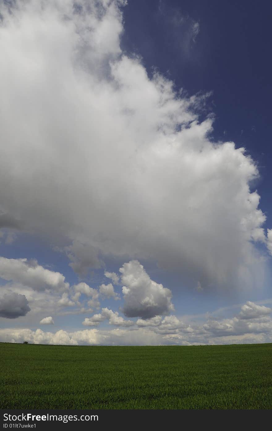 Beautiful green field and clouds