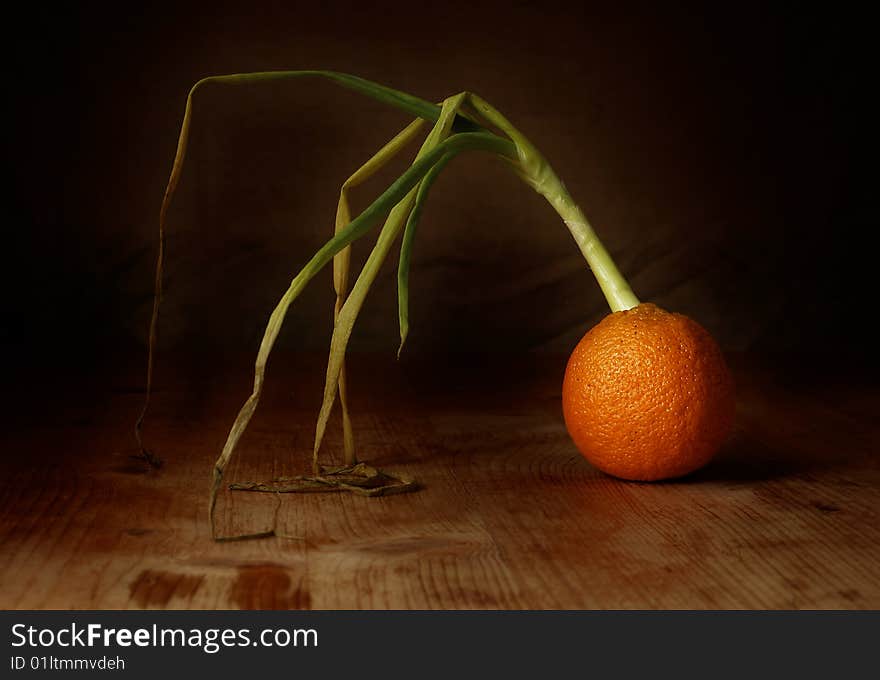 Onions growing out of an orange