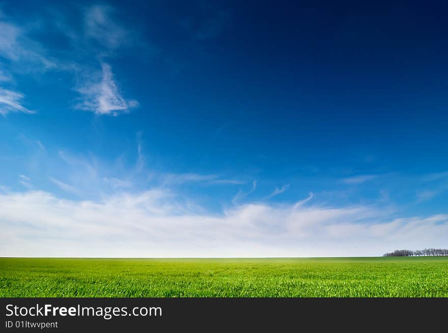 Background of cloudy sky and grass. Background of cloudy sky and grass