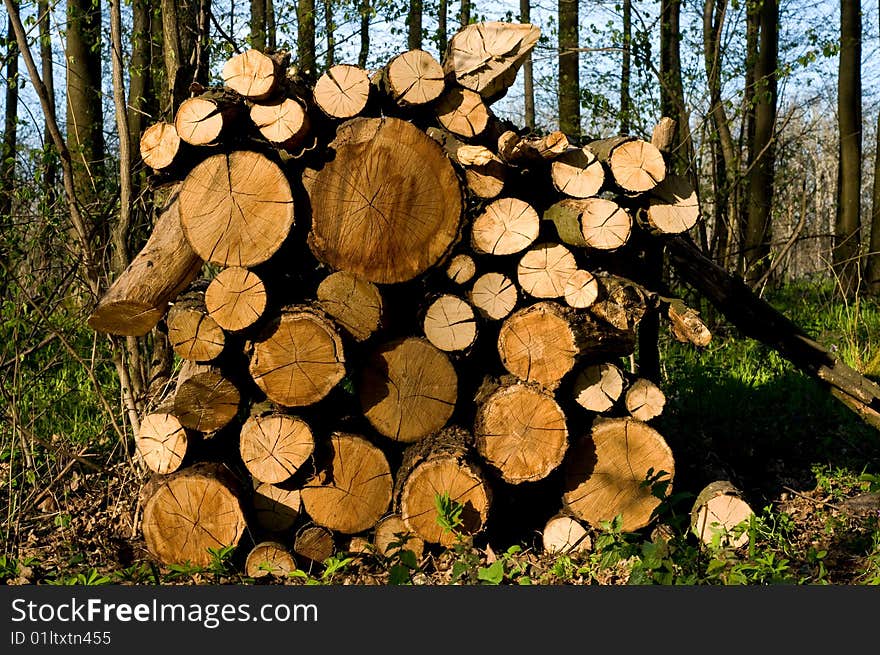 Round old timbers ready to go to in processing. Round old timbers ready to go to in processing