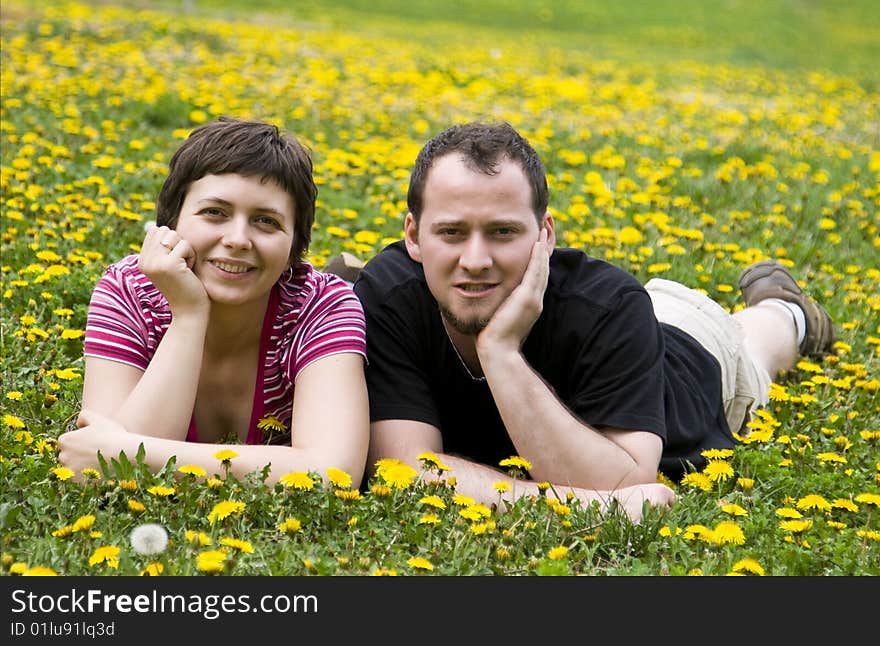 Couple laying in a meadow full of dandelions