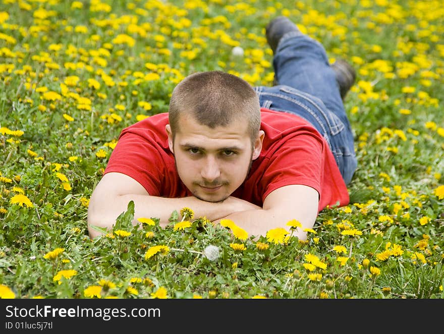 Handsome young man laying in a meadow full of dandelions