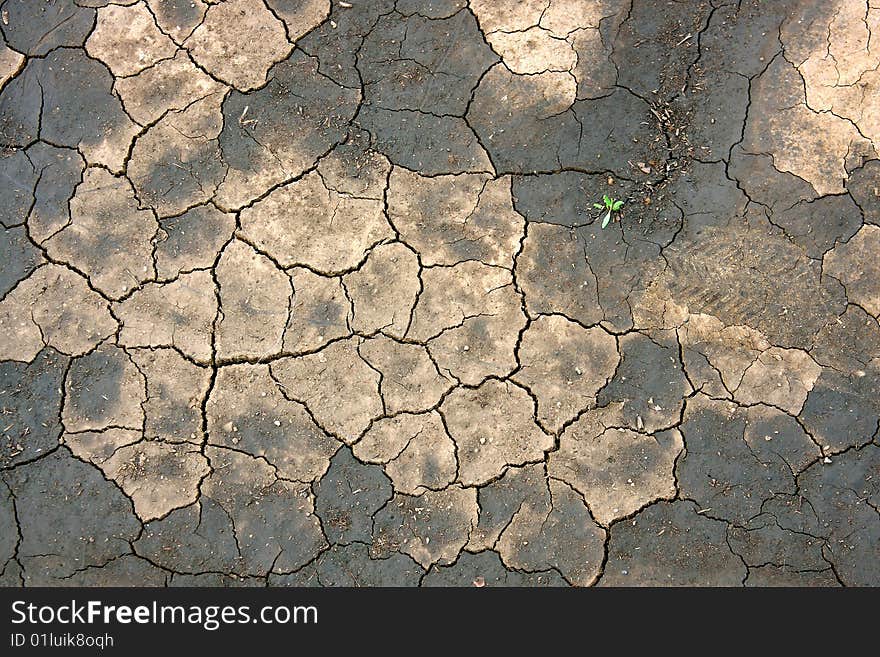 Dry soil background with cracks