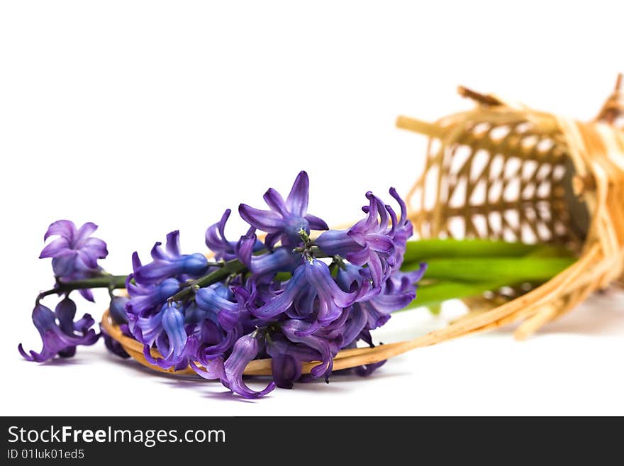 Spring Flowers In Basket