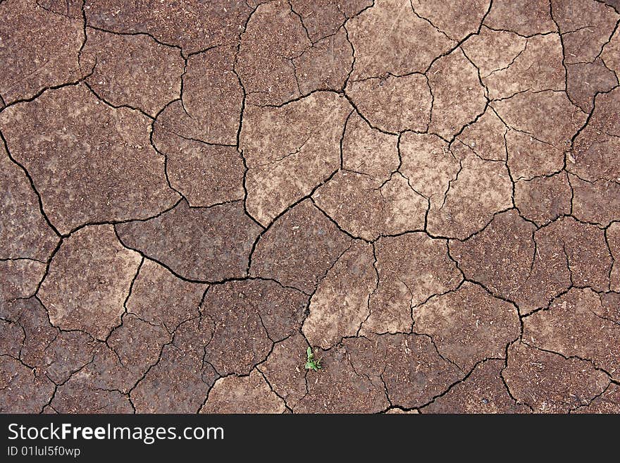 Wet Background With Cracks